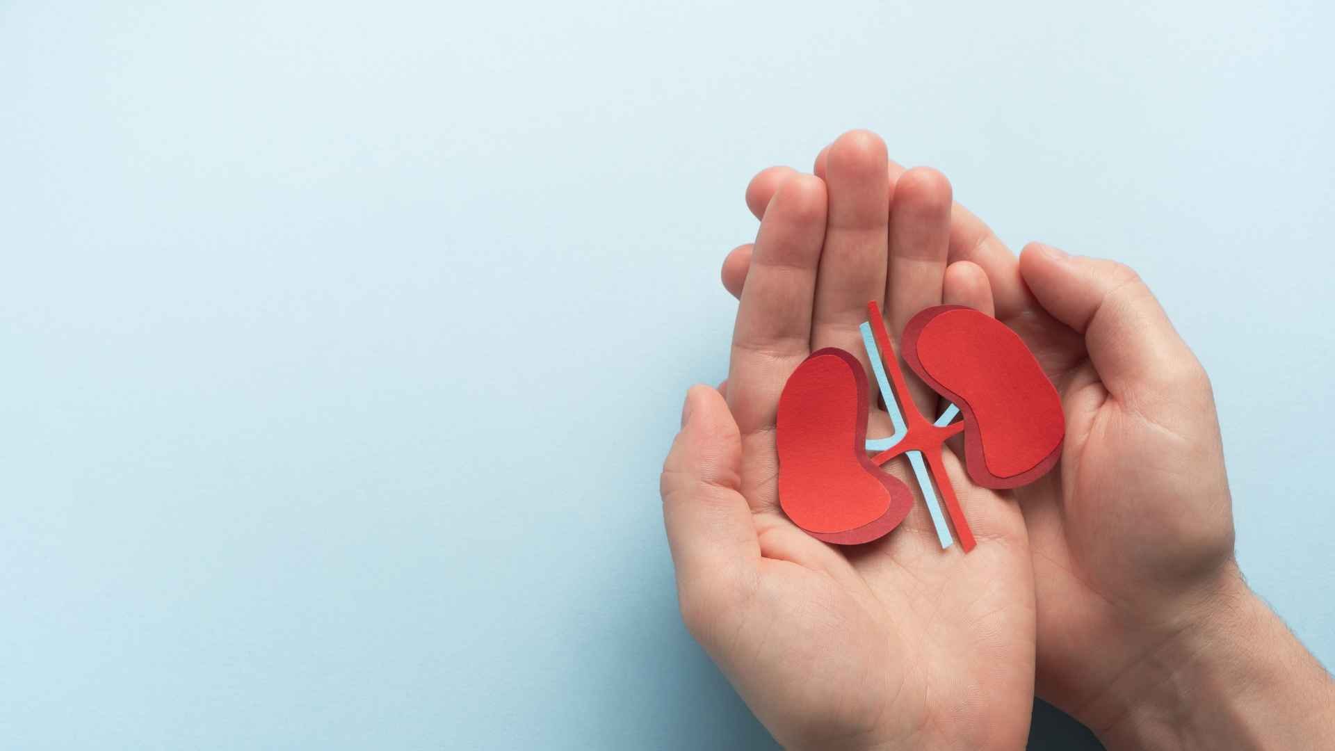 Arenilla en los Riñones Qué Debes Saber al Respecto