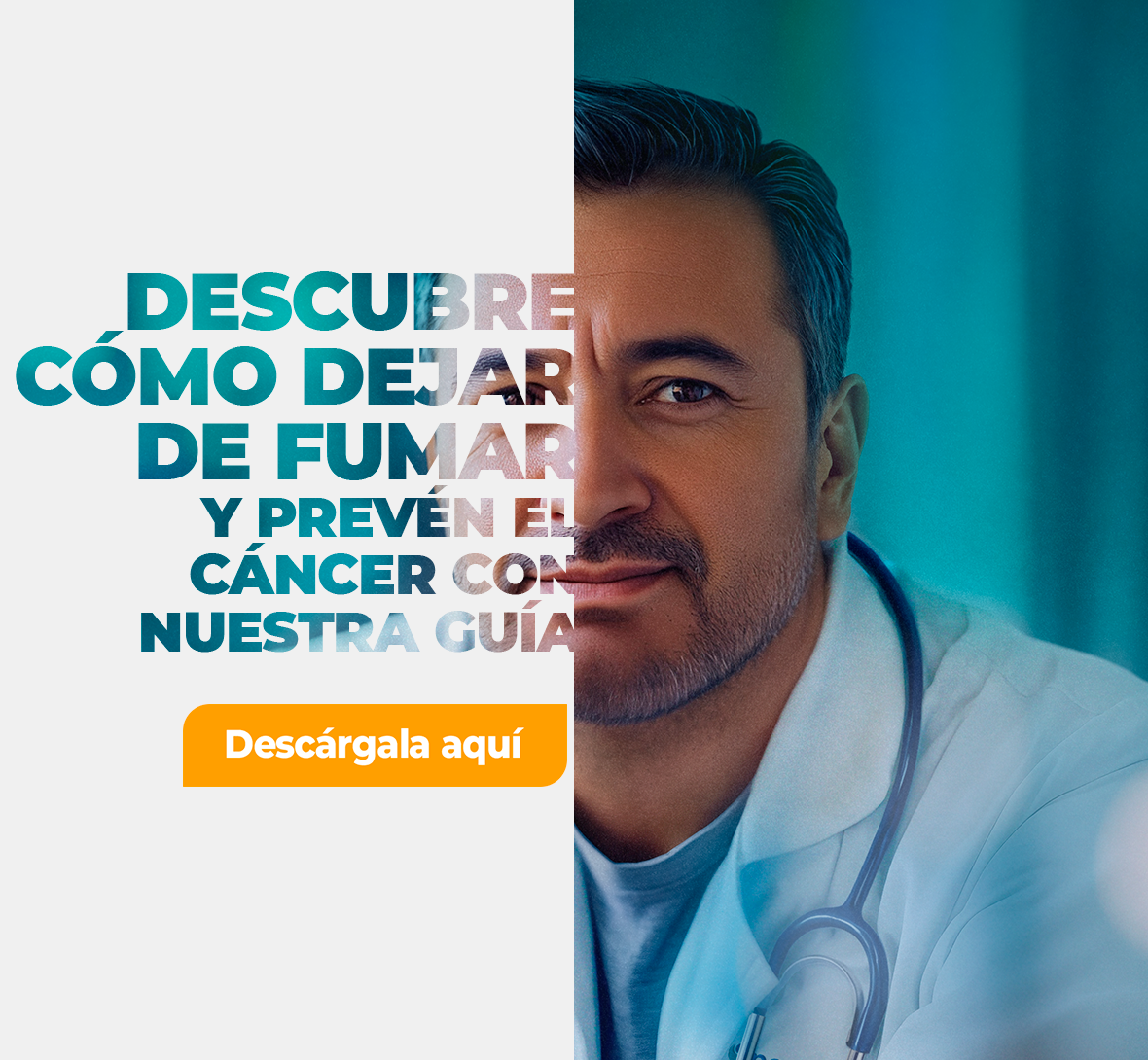 Cunto tiempo tarda un cigarrillo en desaparecer de tu cuerpo?: Hablemos de  la nicotina