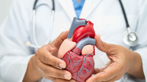 Sistema Cardiovascular: Cómo Protegerlo