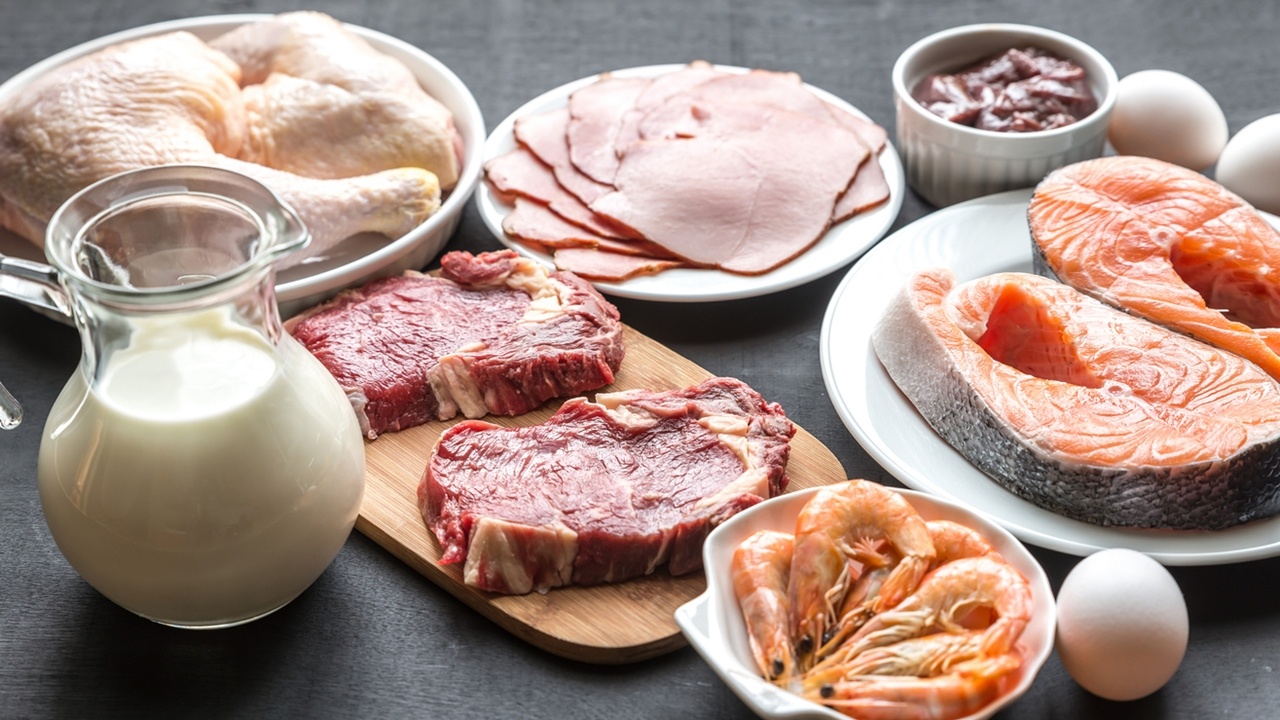 alimentos-activo-carnes