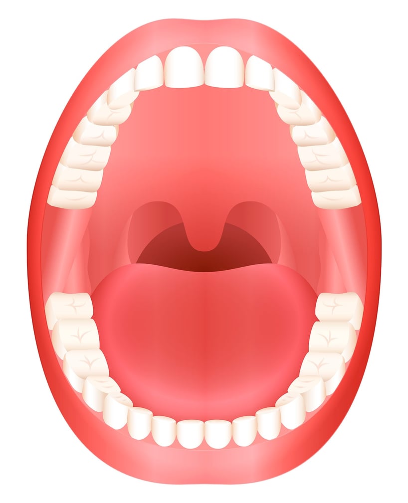 boca abierta mostrando dientes