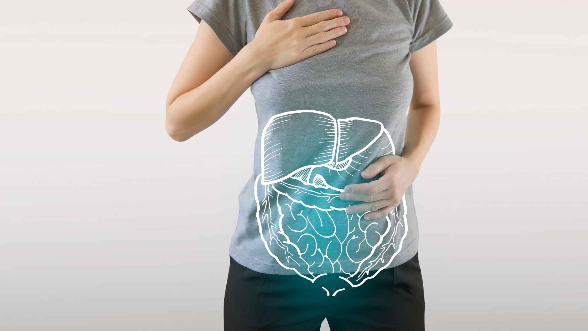 como cuidar el sistema digestivo