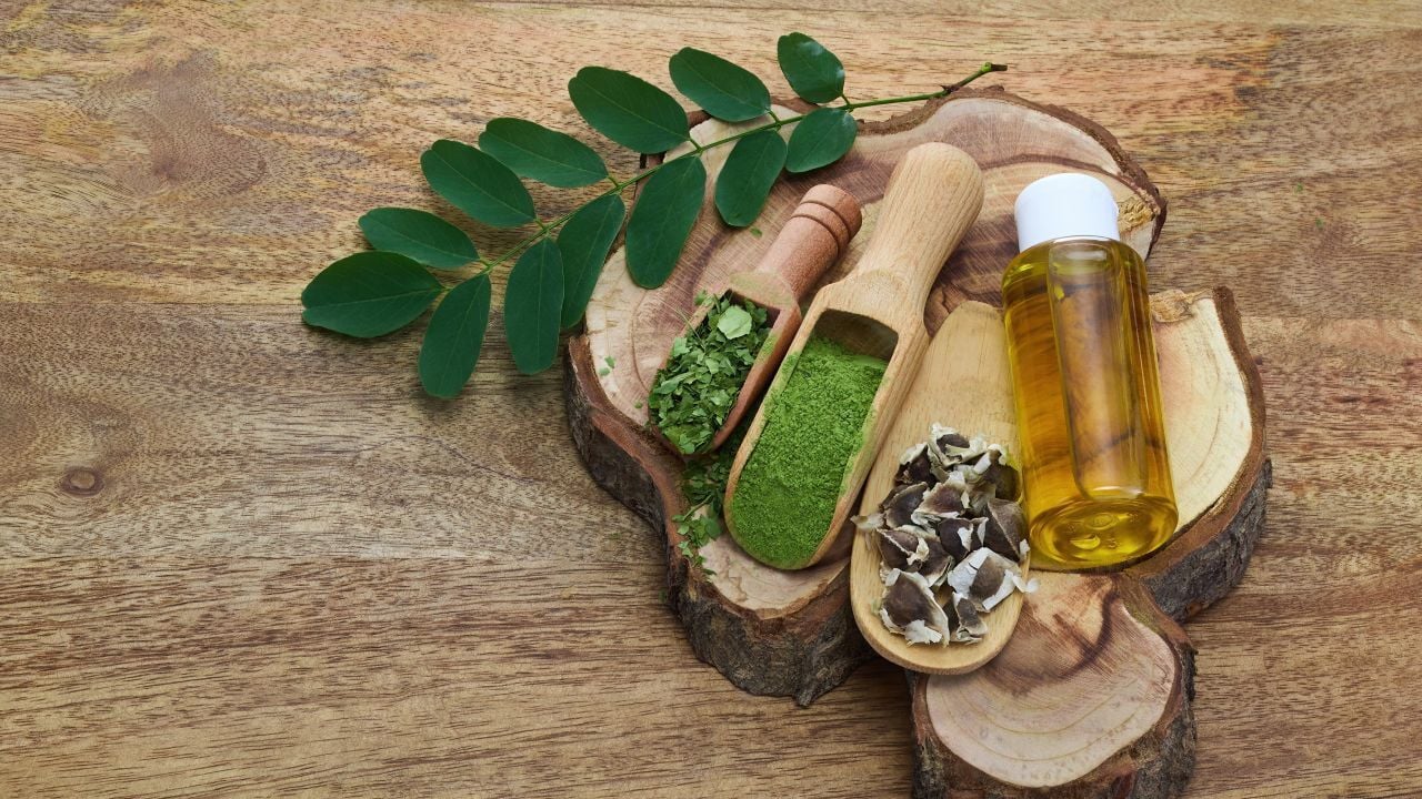 como consumir moringa de forma segura y efectiva