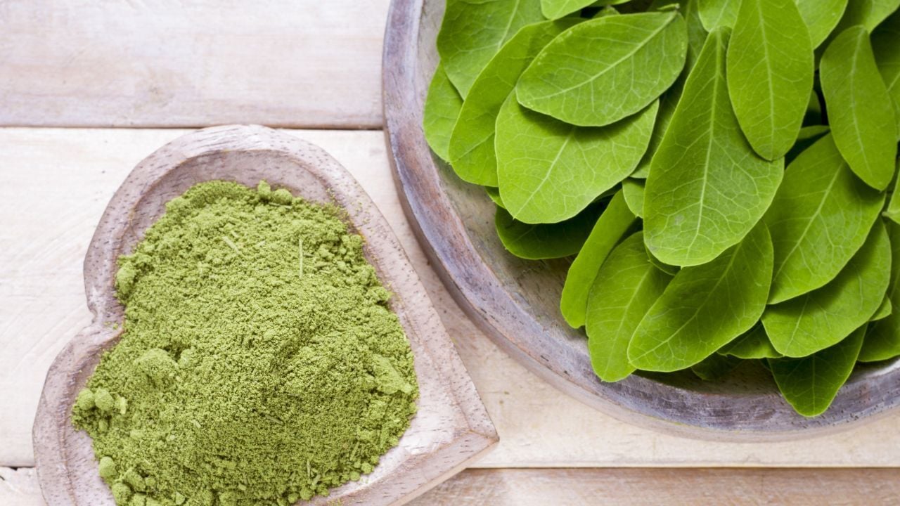 fortalece tu sistema inmunologico con moringa