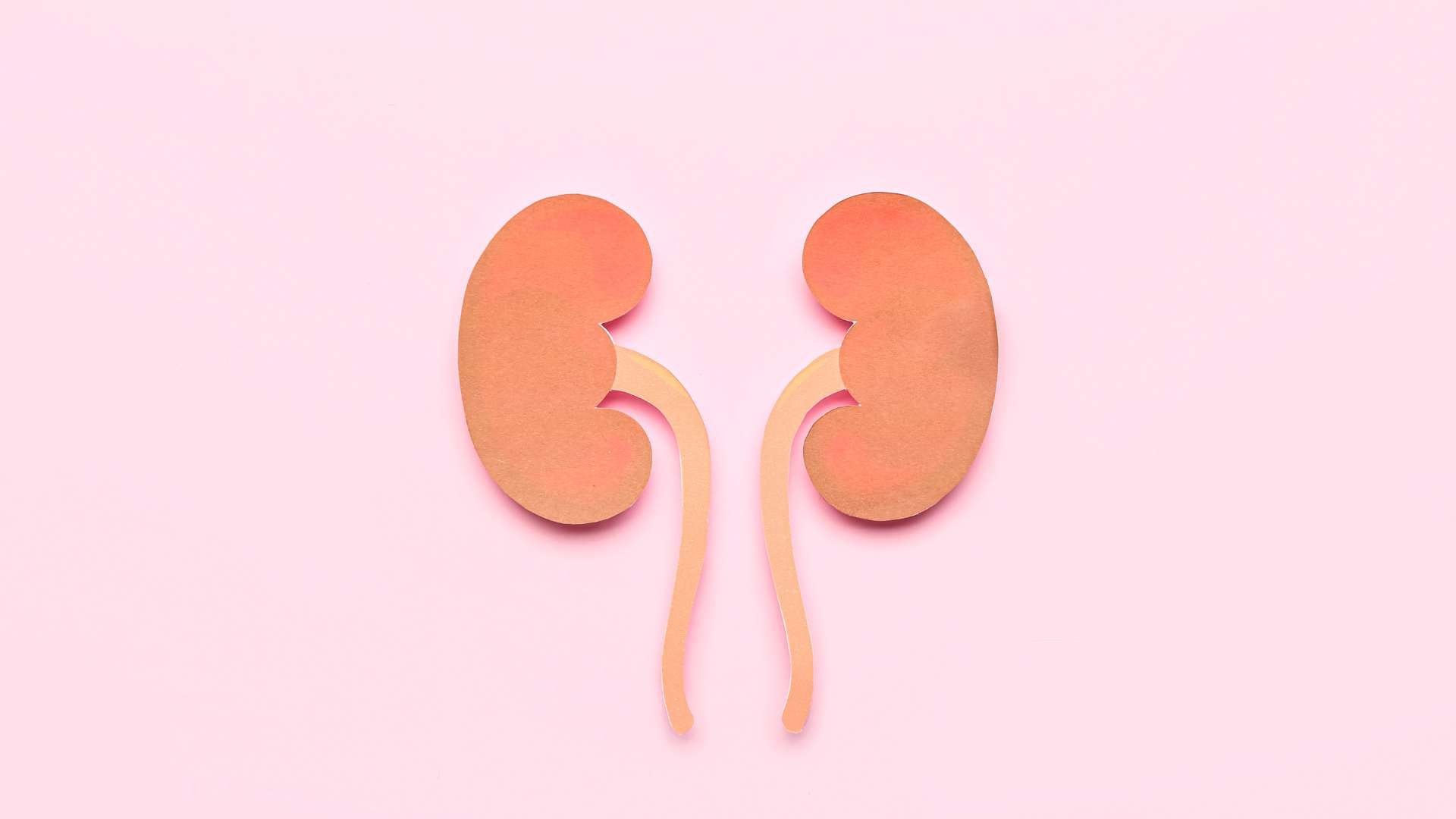 Cáncer de riñón: Causas más frecuentes y factores de riesgo