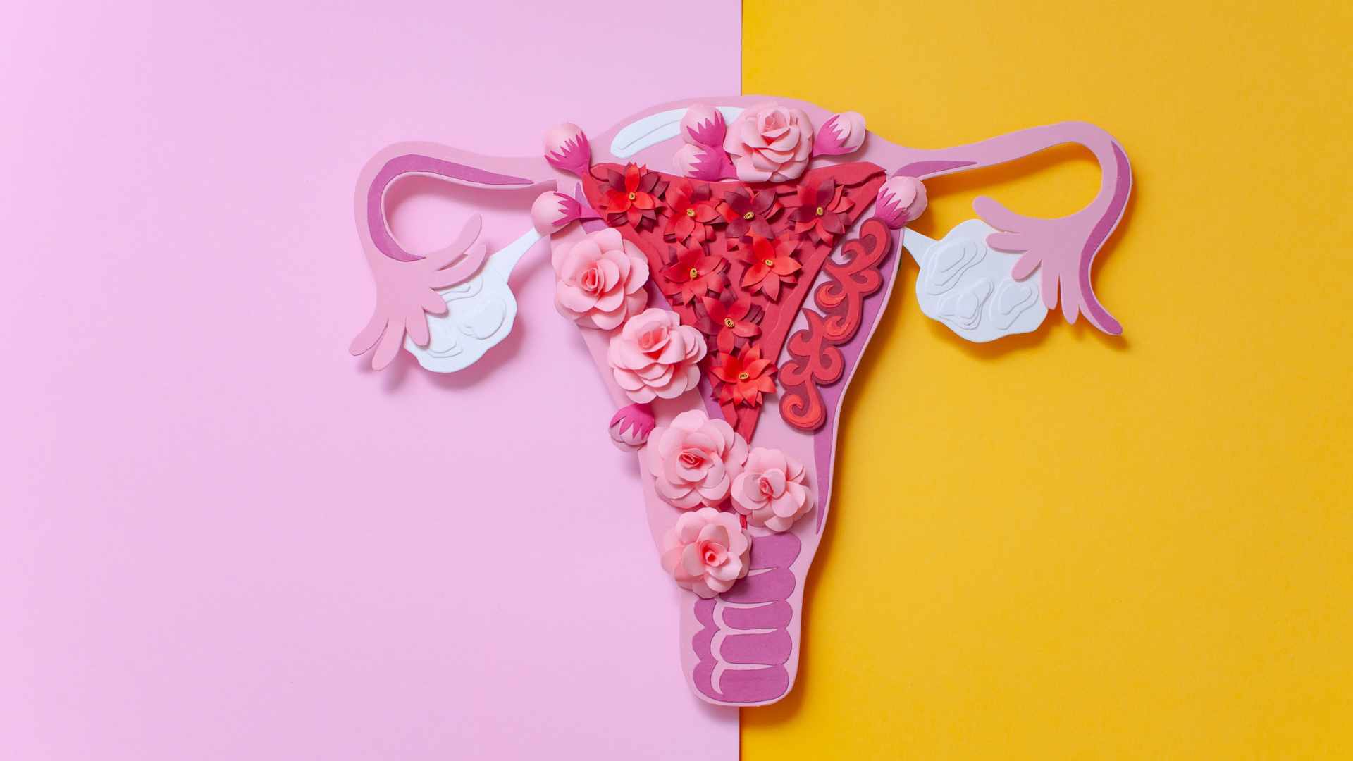 Cáncer de Endometrio: Causas, Síntomas y Tratamiento