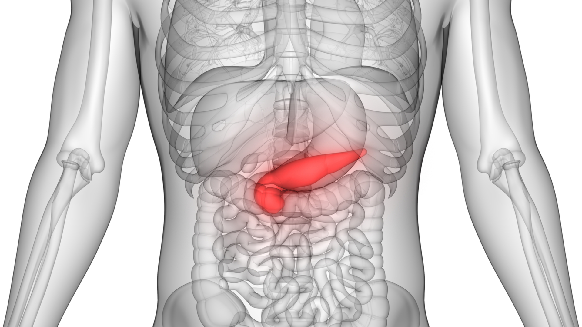 dia mundial del cancer de pancreas