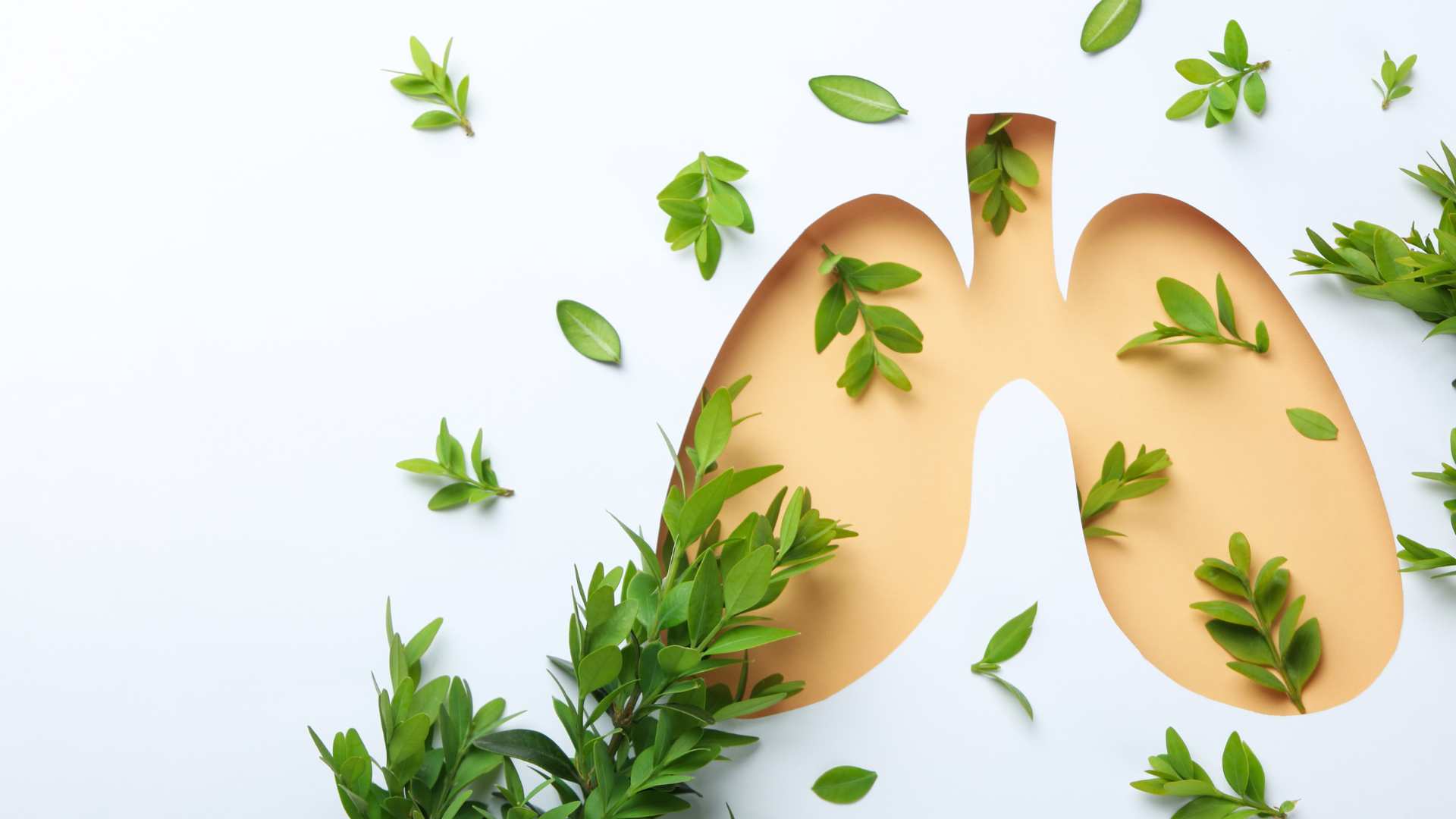 ¿La Fibrosis Pulmonar es Contagiosa?: Guía Completa