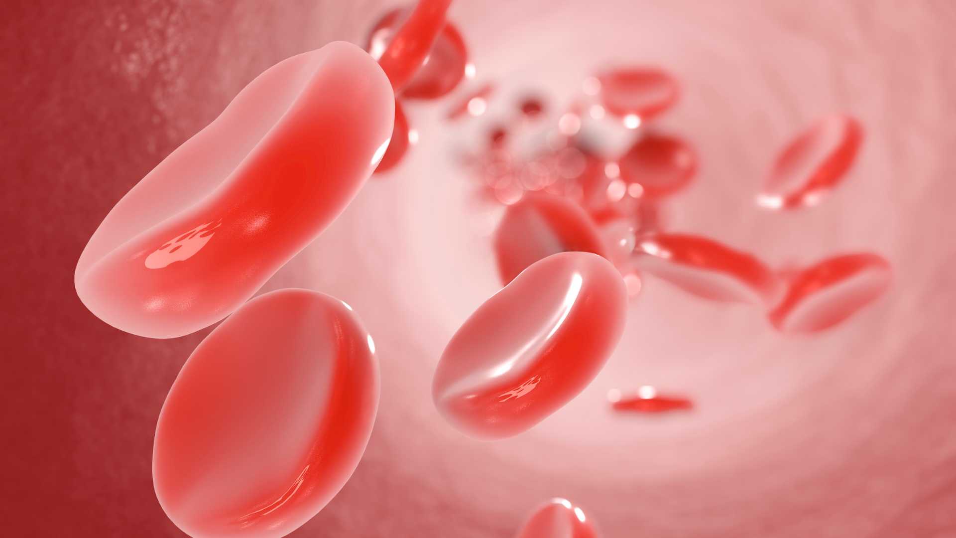 Función de los Glóbulos Rojos: Qué Debes Saber