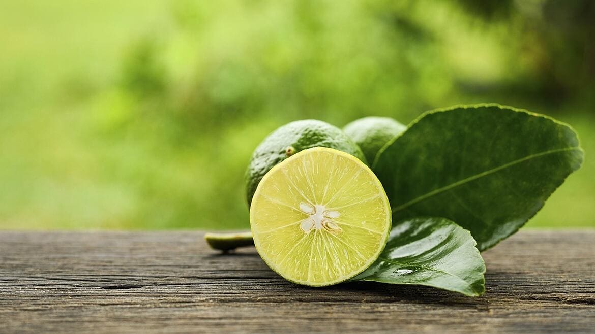 Cuáles son las propiedades y beneficios del limón para la salud?