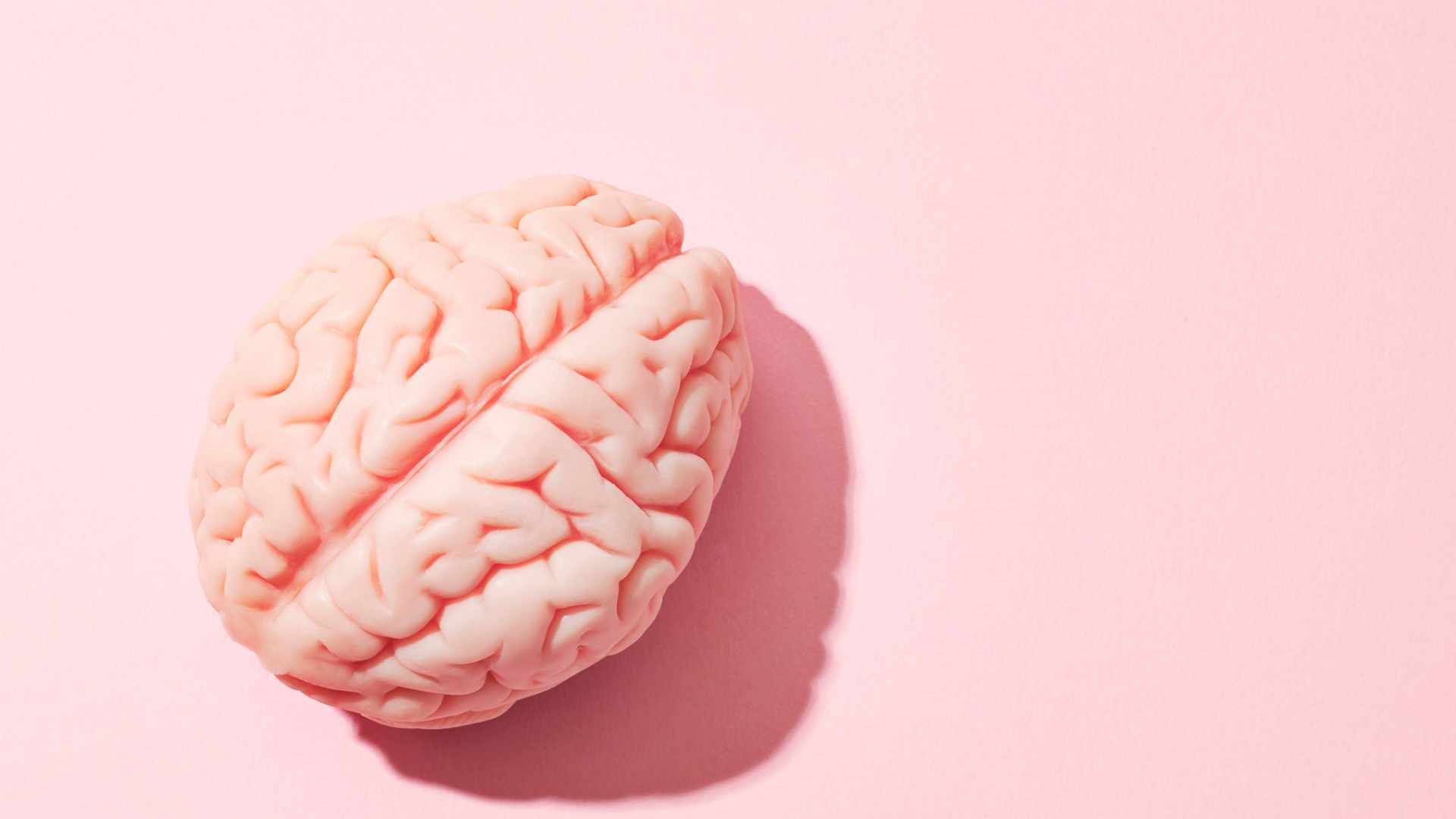 Tumores Cerebrales: Qué Debes Saber